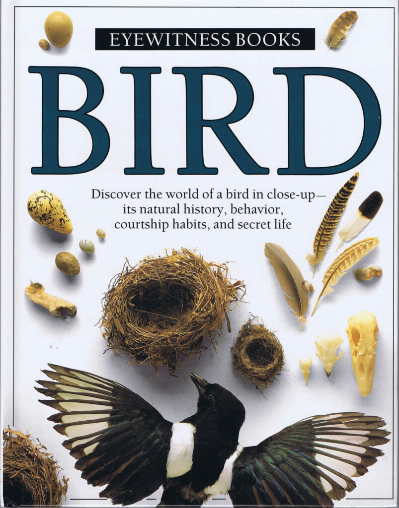 eyewitness book on birds